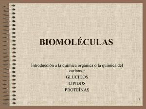 biomoléculas - IES Julian Zarco