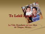 Te lekil Kuxlejal - International Ministries