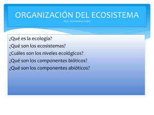 Organización de los Ecosistemas