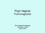 Flujo vaginal Definición
