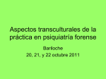 Aspectos transculturales de la práctica en psiquiatría forense