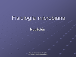 Fisiología microbiana