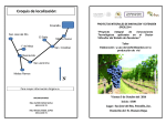 Diapositiva 1