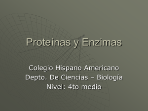 Proteínas y Enzimas - Colegio Hispano Americano