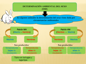 Diapositiva 1