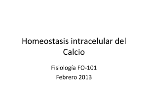 Homeostasis intracelular del Calcio