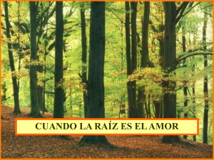 cuando la ra&iacute;z es el amor