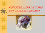 aprendizaje, memoria y neuroplasticidad