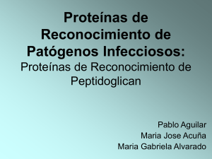 Proteínas de Reconocimiento de Peptidoglican: Las Nuevas