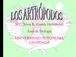 Presentación de PowerPoint - virtual.chapingo.mx