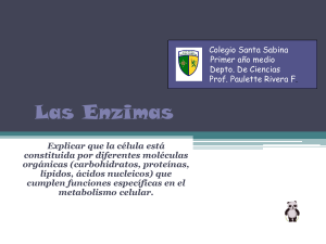 Las Enzimas - Colegio Santa Sabina