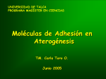 Moléculas de Adhesión en Aterogénesis