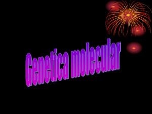 genetica molecular1 - IHMC Public Cmaps (3)