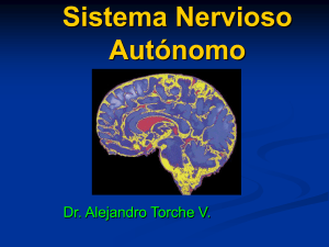 Sistema Nervioso Autónomo