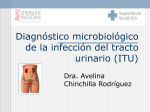 Diagnóstico microbiológico infección urinaria