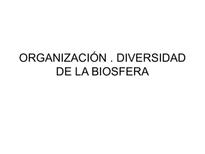 organización . diversidad de la biosfera