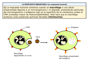 Diapositiva 1 - ies picos de urbión