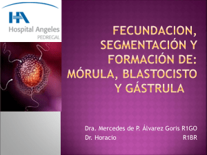 FECUNDACION