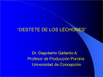 Presentación de PowerPoint - Universidad de Concepción