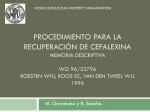 Procedimiento para la recuperacion de cefalexina memoria