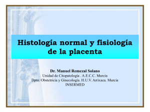 Histología normal y fisiología de la placenta