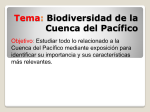 Tema: Biodiversidad de la Cuenca del Pacífico