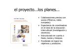 el proyecto...los planes