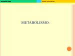 Metabolismo - IES Emilio Alarcos