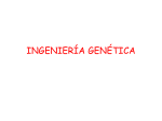 TEMA 4: GENES Y MANIPULACIÓN GENÉTICA