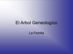 El Arbol Geneologíco