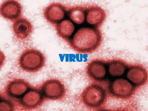 Los virus animales - lab MICROBIOLOGIA YAMILE UNAD