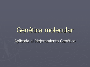 clase-genetica-molecular-para