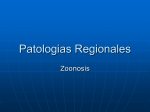 Patologias Regionales