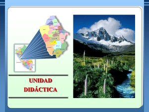 Presentaci&oacute;n de PowerPoint