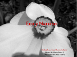 Narciso y Eco - IES Fuente de la Peña