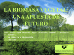 La biomasa vegetal: una apuesta de futuro