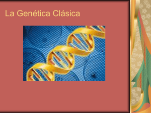 Genética Clasica2 2008 (D.Diaz)