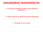 Un sencillo conocimiento cient&iacute;fico sobre organismos transg&eacute;nicos