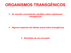 Un sencillo conocimiento científico sobre organismos transgénicos