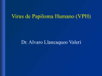 Virus de Papiloma Humano