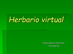 Herbario digital