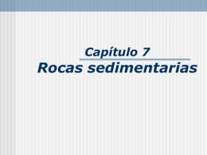 cap07-Rocas sedimentarias 7.41MB 2014-03