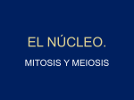 el núcleo. - BioGeoAlarcos