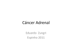 Tumor Adrenal