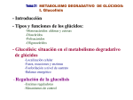 Glucolisis: situación en el metabolismo degradativo de