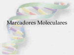 Clase 4 - Marcadores Moleculares 1