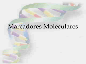 Clase 4 - Marcadores Moleculares 1