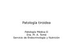 Patología tiroidea. Bocio. Hipotiroidismo. Tiroiditis