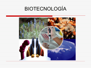 5.2 Biotecnología