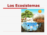 Los Ecosistemas - 56primariainfantes